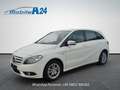 Mercedes-Benz B 180 NAVI XENON RÜCKFAHRKAMERA Weiß - thumbnail 7