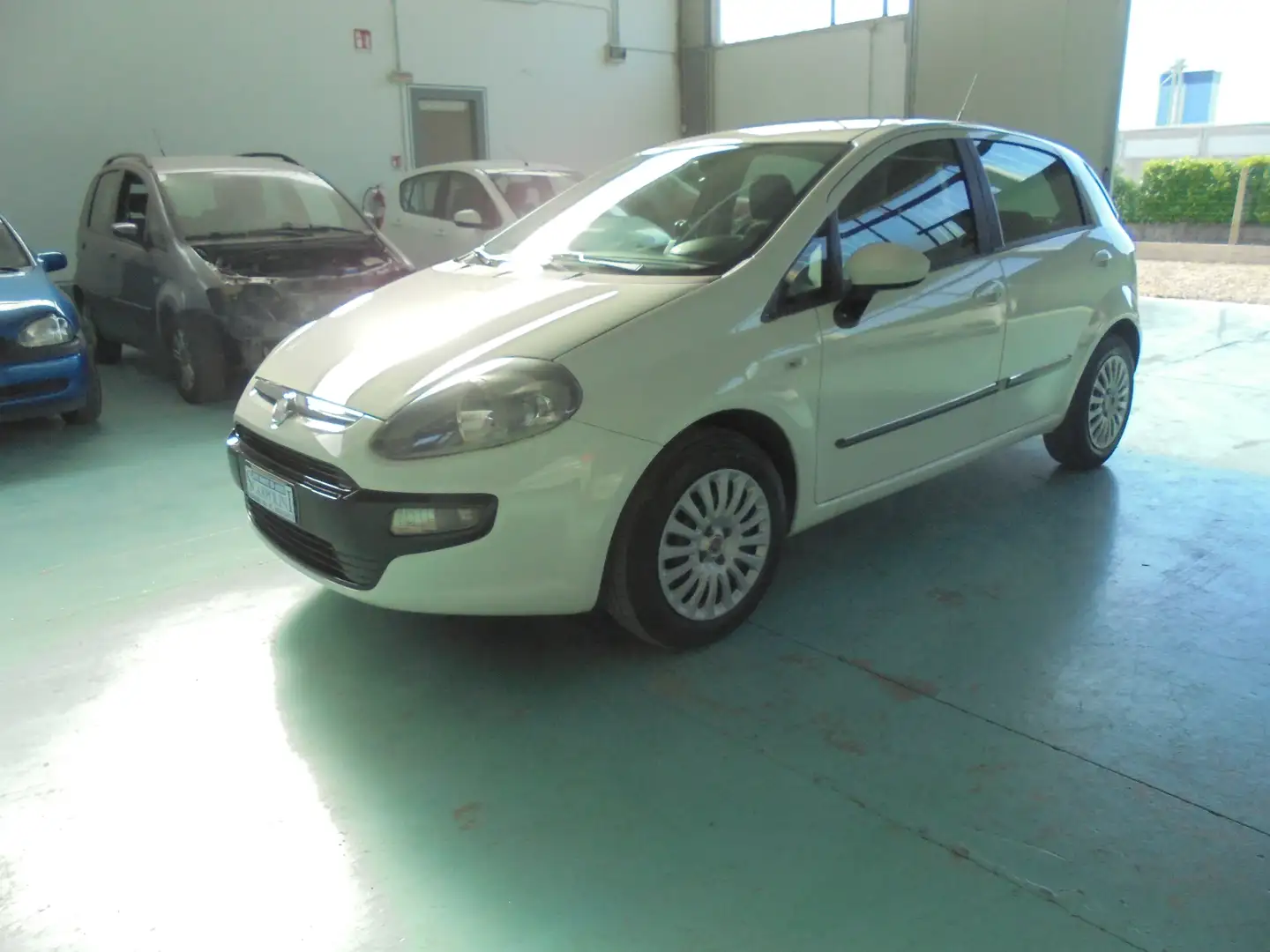 Fiat Punto Evo Punto III 2009 Evo 5p 1.2 MyLife NEOPATENTATI Bianco - 1