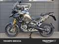 Triumph Tiger 1200 Rally Pro Abs Grigio - thumbnail 10