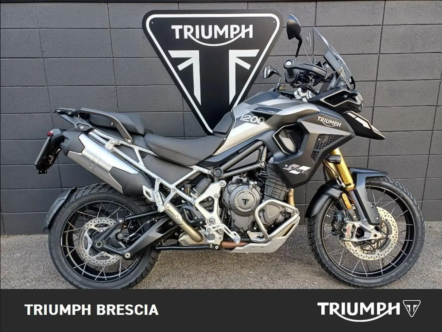 Triumph Tiger 1200 Rally Pro Abs Grigio - 1