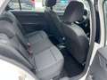 Skoda Fabia Cool Plus Weiß - thumbnail 14