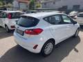 Ford Fiesta Fiesta VII 2017 5p 5p 1.5 ecoblue Connect s Bianco - thumbnail 3