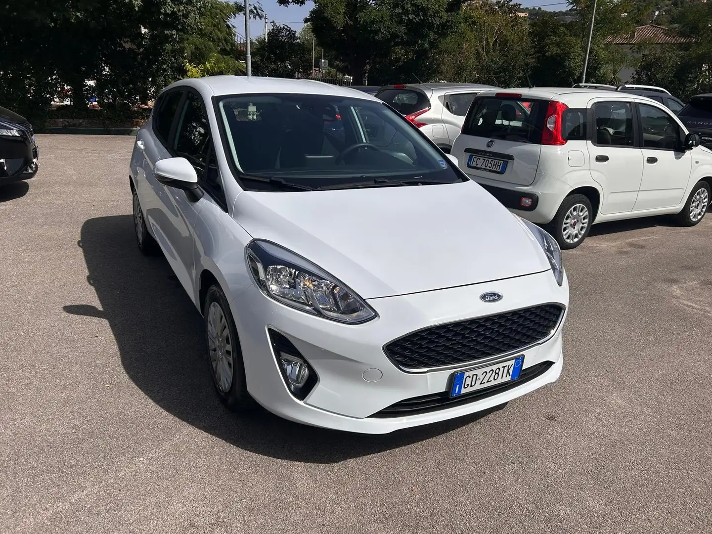 Ford Fiesta Fiesta VII 2017 5p 5p 1.5 ecoblue Connect s Bianco - 1