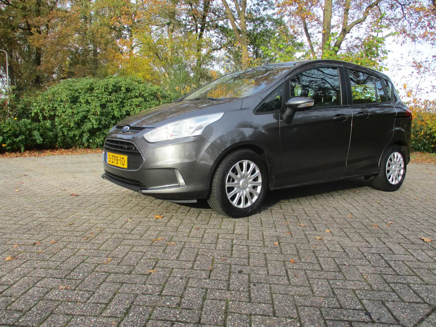 Ford B-Max 1.0 EcoBoost Style Gris - 2