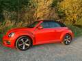 Volkswagen Beetle The Cabriolet 1.2 TSI (BlueMotion Tech) Sound Orange - thumbnail 4