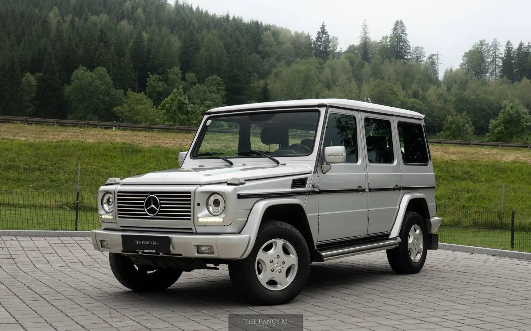 Puch G G 350 GDA TD Aut. Silber - 1