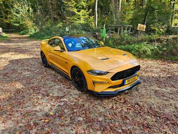 GT Prenium
