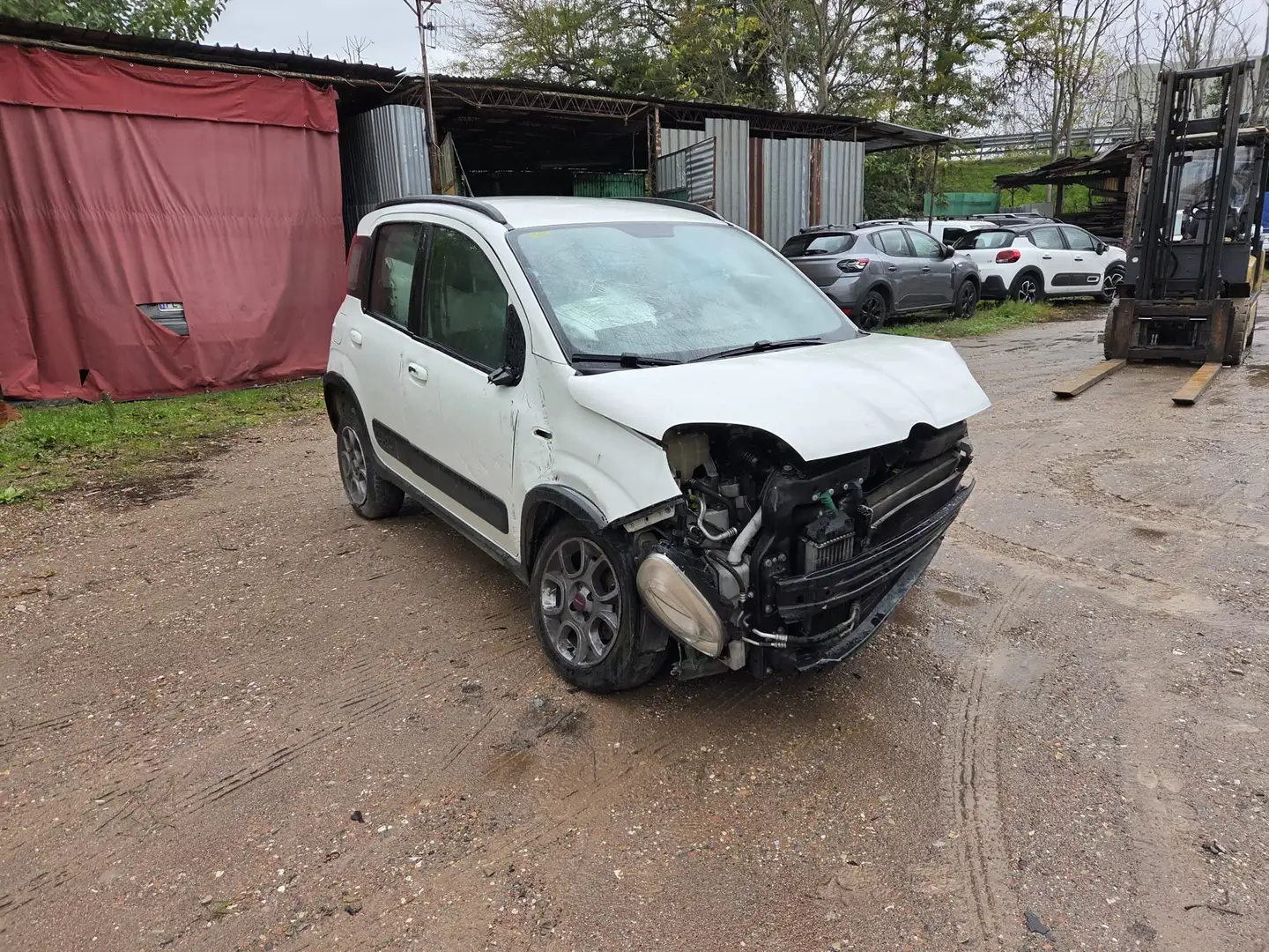 Fiat Panda Panda 4x4 1.3 mjt 16v 4x4 75cv SINISTRATA Bianco - 1