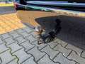 Volkswagen ID. Buzz ID.Buzz Pro IQ.LIGHT, AHK, ACC, Discover Pro Navi Schwarz - thumbnail 25