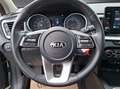 Kia XCeed Xceed 1,5 TGDI 48V GPF Silber DCT Grau - thumbnail 8