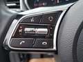 Kia XCeed Xceed 1,5 TGDI 48V GPF Silber DCT Grau - thumbnail 11