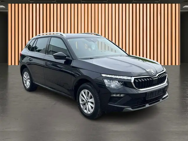 Skoda Kamiq view 4