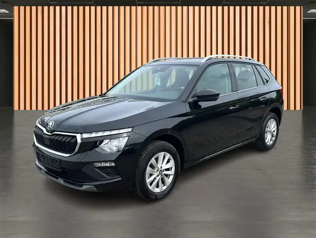 Skoda Kamiq view 2