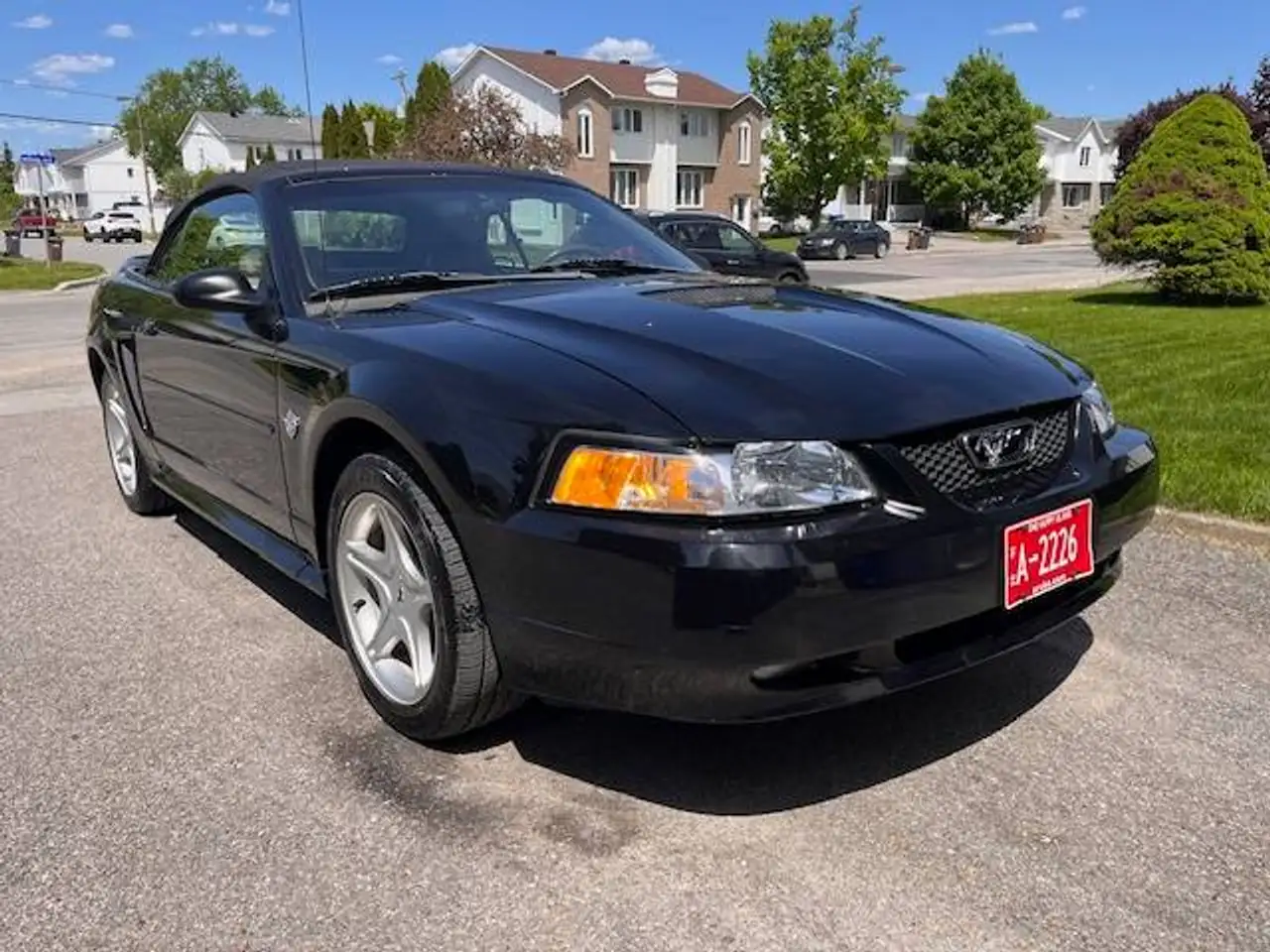 Ford Mustang fotografie Ford Mustang