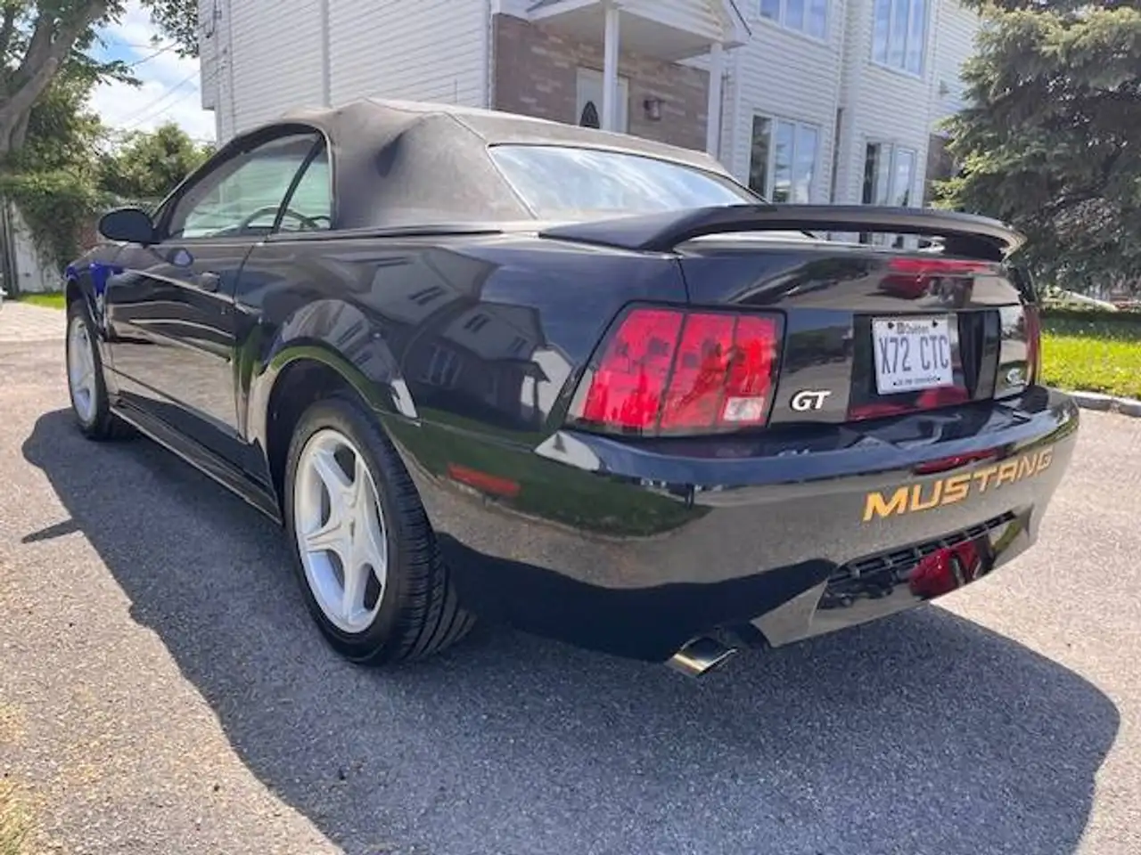 Ford Mustang fotografie Ford Mustang