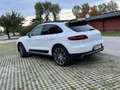 Porsche Macan S 3,0 21 Zoll Räder - thumbnail 3