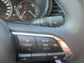 Mazda CX-30 /G140/Nagisa Modell 2025 Grau - thumbnail 17