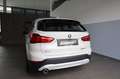 BMW X1 xDrive25e Advantage Head-Up HiFi DAB RFK Shz Weiß - thumbnail 4