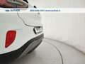Ford Puma 1.0 ecoboost hybrid Titanium s&s 125cv Bianco - thumbnail 9