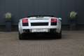 Lamborghini Gallardo 5.0 V10 Spyder | EU-auto | Lift-as | Historie | Grau - thumbnail 20