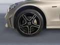 Mercedes-Benz C 300 Break de AMG Line Silber - thumbnail 14