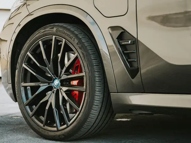 BMW X5 view 12