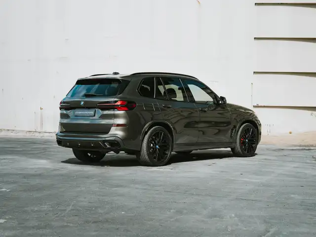 BMW X5 view 10