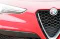 Alfa Romeo Stelvio 2.0 T AWD F.E. 280 PK Q4 Rijklaar incl. 12 mnd. ga Rood - thumbnail 14