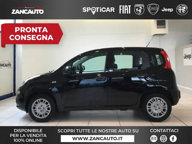 Fiat Panda Panda 1.0 FireFly S&S Hybrid Pop 65cv