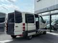 Mercedes-Benz Sprinter II Behindertengerecht-Lift Gris - thumbnail 12