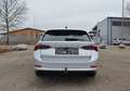 Skoda Octavia Combi 2,0 TDI Premium DSG Grau - thumbnail 11