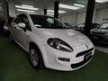 Fiat Punto Evo VAN 1.4 Active GPL valido fino 2035 Blanc - thumbnail 4