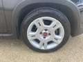 Fiat Panda 1.0 firefly hybrid  uniprò NO OBBLIGO FINANZIAM Negro - thumbnail 7