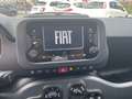 Fiat Panda 1.0 firefly hybrid  uniprò NO OBBLIGO FINANZIAM Negro - thumbnail 3