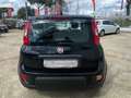 Fiat Panda 1.0 firefly hybrid  uniprò NO OBBLIGO FINANZIAM Negro - thumbnail 6