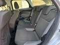 Ford Focus 1.6 TDCi 115 CV SW Titanium Grigio - thumbnail 11