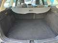 Ford Focus 1.6 TDCi 115 CV SW Titanium Grigio - thumbnail 14