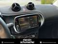 smart forTwo smart EQ fortwo cabrio Pulse+Klima+LED+Sitzhzg. BC Noir - thumbnail 14