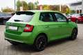 Skoda Fabia 1.2 Monte Carlo Android Apple Tempomat PDC Grün - thumbnail 6