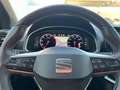 SEAT Arona 1.0 TSI S&S Xperience XS 110 Gris - thumbnail 11