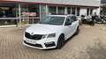 Skoda Octavia RS 245 - AHK Pano VIRTUAL DSG ACC Blanc - thumbnail 4
