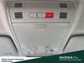 Skoda Kamiq Selection Lenkrad heizbar Winter-Paket LM-Felgen 6 Grau - thumbnail 16