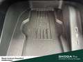 Skoda Kamiq Selection Lenkrad heizbar Winter-Paket LM-Felgen 6 Grau - thumbnail 20