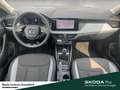 Skoda Kamiq Selection Lenkrad heizbar Winter-Paket LM-Felgen 6 Gris - thumbnail 7