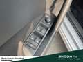 Skoda Kamiq Selection Lenkrad heizbar Winter-Paket LM-Felgen 6 Grau - thumbnail 13