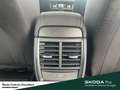 Skoda Kamiq Selection Lenkrad heizbar Winter-Paket LM-Felgen 6 Grau - thumbnail 23