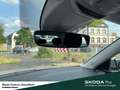 Skoda Kamiq Selection Lenkrad heizbar Winter-Paket LM-Felgen 6 Grau - thumbnail 15