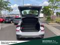 Skoda Kamiq Selection Lenkrad heizbar Winter-Paket LM-Felgen 6 Grau - thumbnail 12