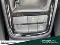 Skoda Kamiq Selection Lenkrad heizbar Winter-Paket LM-Felgen 6 Grau - thumbnail 21