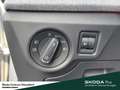 Skoda Kamiq Selection Lenkrad heizbar Winter-Paket LM-Felgen 6 Grau - thumbnail 14